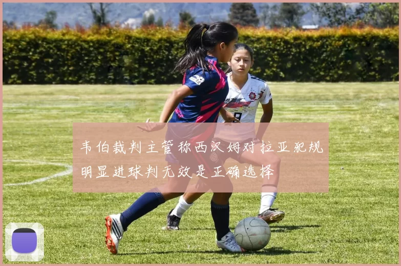 韦伯裁判主管称西汉姆对拉亚犯规明显进球判无效是正确选择